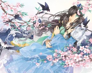 含羞草忘忧草花季传媒